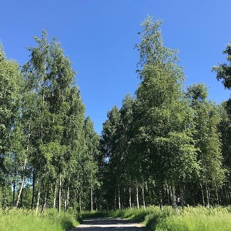 Stort Hus I Porsgrunn Sentrum Med Gangavstand Til "Alt" & Gratis Parkering Til Flere Biler Екстериор снимка