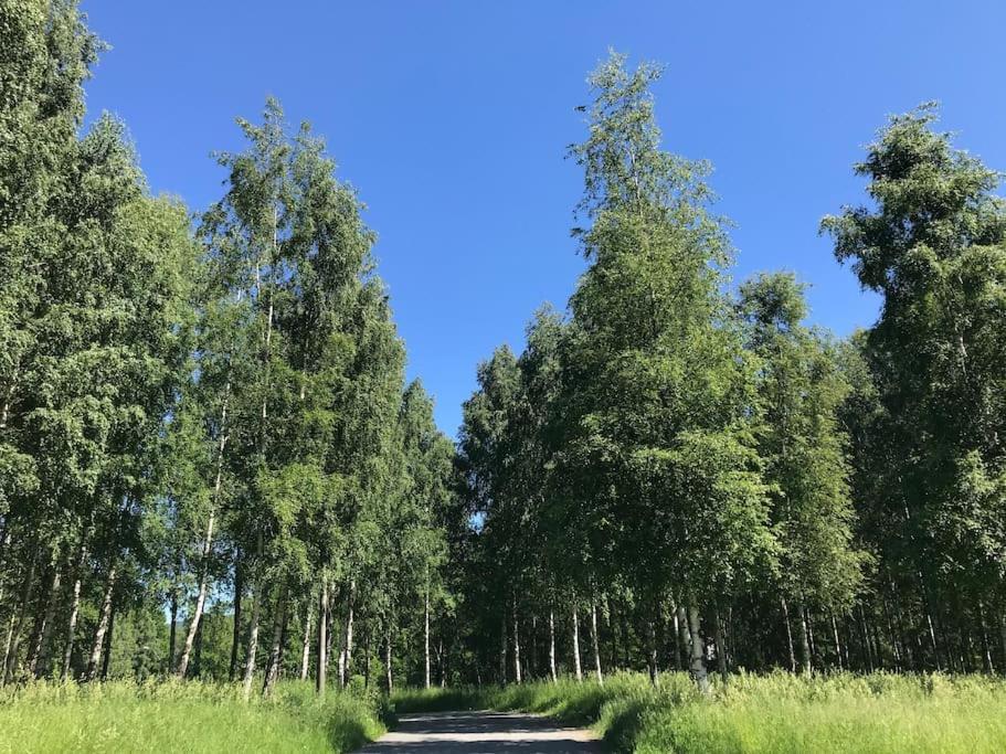 Stort Hus I Porsgrunn Sentrum Med Gangavstand Til "Alt" & Gratis Parkering Til Flere Biler Екстериор снимка
