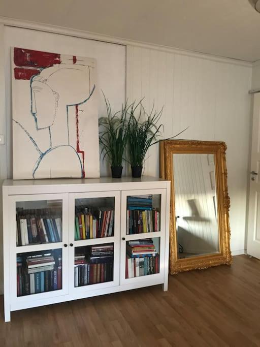 Stort Hus I Porsgrunn Sentrum Med Gangavstand Til "Alt" & Gratis Parkering Til Flere Biler Екстериор снимка