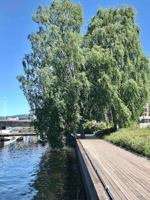 Stort Hus I Porsgrunn Sentrum Med Gangavstand Til "Alt" & Gratis Parkering Til Flere Biler Екстериор снимка