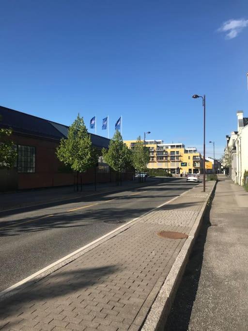 Stort Hus I Porsgrunn Sentrum Med Gangavstand Til "Alt" & Gratis Parkering Til Flere Biler Екстериор снимка